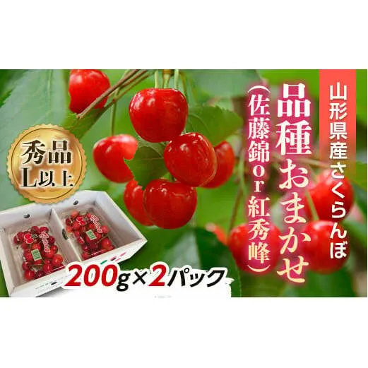 【令和7年産先行予約】 さくらんぼ 「佐藤錦または紅秀峰」 400g (200g×2パック 秀 L以上) 《令和7年6月上旬～発送》 『南陽中央青果市場』 小分け サクランボ 果物 フルーツ 山形県 南陽市 [1475]