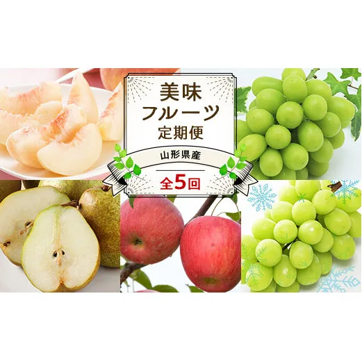 【令和7年産先行予約】 《定期便5回》 JA 夏秋冬美味フルーツ定期便 『JA山形おきたま』 山形県 南陽市 [1491]