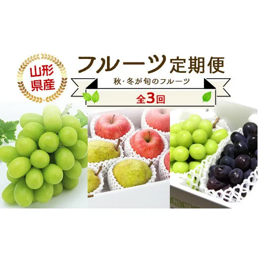 【令和7年産先行予約】 《定期便3回》 JA 秋冬フルーツ定期便 『JA山形おきたま』 山形県 南陽市 [1493]