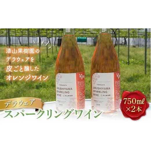 果樹園生まれの 「漆山スパークリングワイン (デラウェア)」 750ml×2本セット 『漆山果樹園』 自家栽培 山形県 南陽市 [1515]
