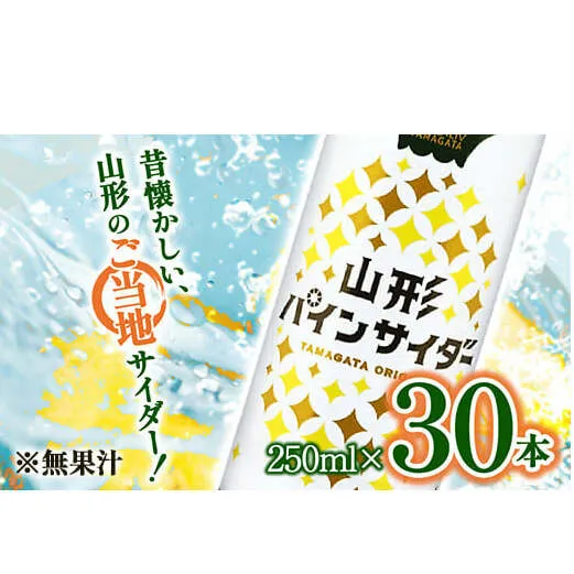  山形パインサイダー 250ml×30本入 『山形食品(株)』 JA山形おきたま ご当地 ジュース サイダー パインサイダー パイナップル 山形県 南陽市 [1540]