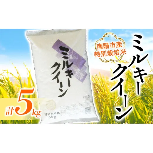 【金賞受賞農家】 令和7年産 特別栽培米 ミルキークイーン 5kg 『あおきライスファーム』 山形南陽産 米 白米 精米 ご飯 農家直送 山形県 南陽市 [1549]