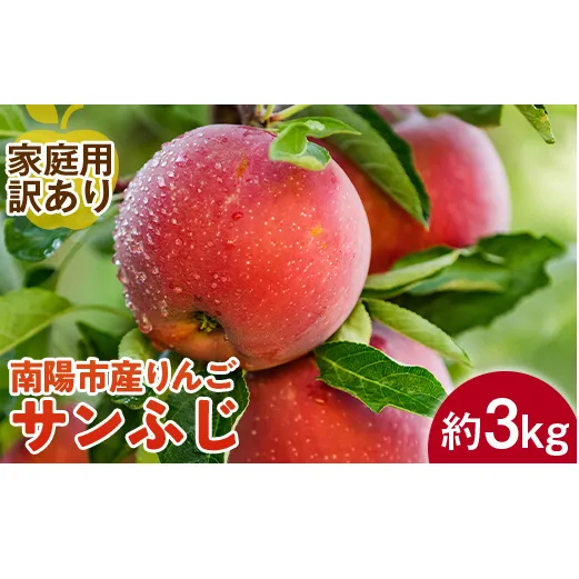 【令和7年産先行予約】 〈訳あり品 家庭用〉 りんご 「サンふじ」 約3kg (8～12玉前後) 《令和7年11月下旬～発送》 『平農園』 リンゴ 産地直送 生産農家直送 山形県 南陽市 [1650]