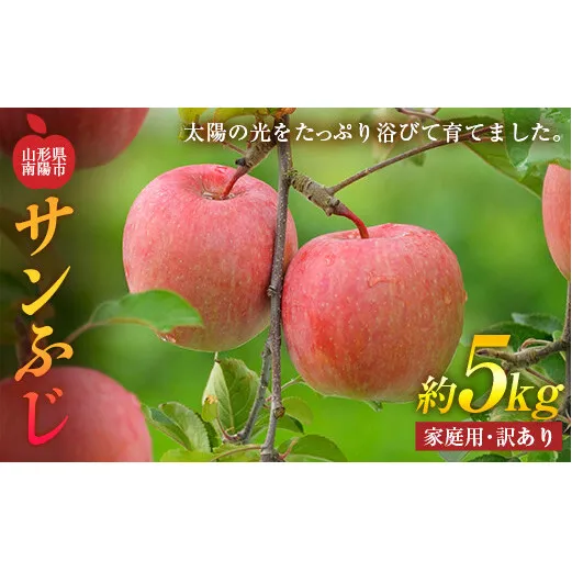 【令和7年産先行予約】 〈訳あり品 家庭用〉 りんご 「サンふじ」 約5kg (13～20玉前後) 《令和7年11月下旬～発送》 『平農園』 産地直送 生産農家直送 山形県 南陽市 [1690]