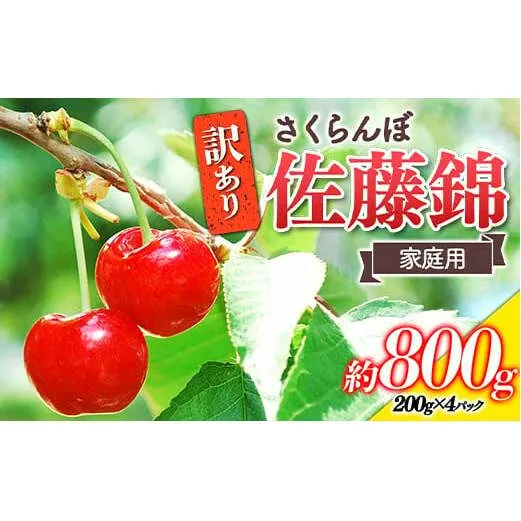 【令和7年産先行予約】 〈訳あり品 家庭用〉 さくらんぼ 「佐藤錦」 約800g (200g×4パック Mサイズ) 《令和7年6月中旬～発送》 『田口農園』 小分け 山形県 南陽市 [1691]
