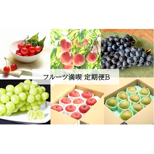 【令和7年産先行予約】 《定期便6回》 フルーツ満喫定期便B 『フードシステムズ』 山形県 南陽市 [1139-R7]