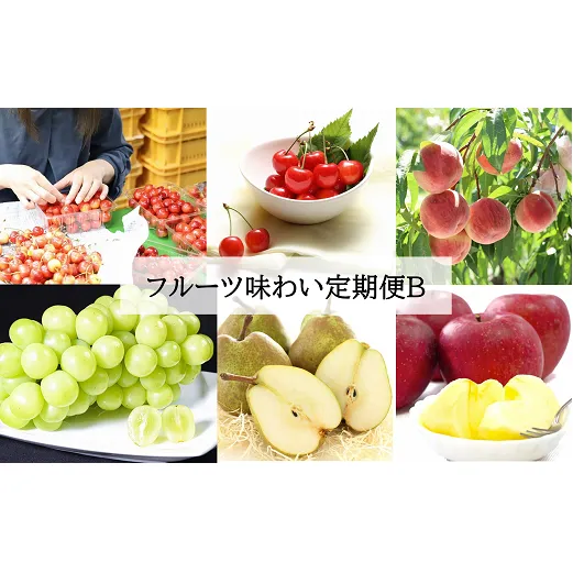 【令和7年産先行予約】 《定期便4回》 フルーツ味わい定期便B 『フードシステムズ』 山形県 南陽市 [1141-R7]