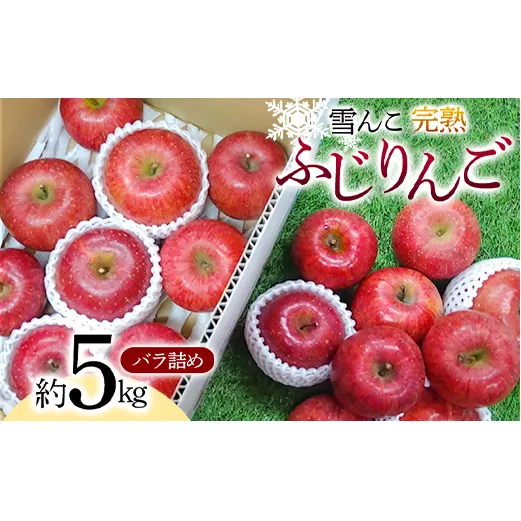 【令和7年産先行予約】 雪んこ 完熟ふじりんご 約5kg バラ詰め 《令和8年1月上旬～発送》 【全国りんご選手権 銀賞】 『船中農園』 りんご リンゴ ふじ ふじりんご 完熟 果物 フルーツ デザート 山形県 南陽市 [1848]