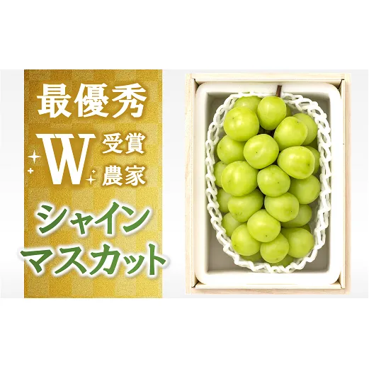 【令和8年産先行予約】 【最優秀賞W受賞農家】 シャインマスカット 700g以上 (1房 特選) 《令和8年9月中旬～発送》『生産者 佐藤 大輔』 [1031]