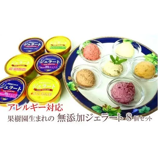 【アレルギー対応】 果樹園生まれの 無添加ジェラート 8個セット 『漆山果樹園』 山形県 南陽市 [227]