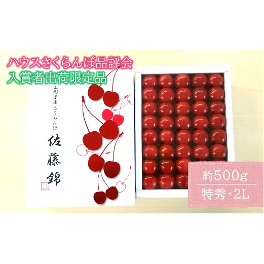 【令和7年産先行予約】 【入賞者出荷限定】 JA ハウスさくらんぼ 「佐藤錦」 約500g (特秀 2L) 化粧箱入り 《令和7年6月上旬～中旬発送》 『JA山形おきたま』 サクランボ 果物 フルーツ 山形県 南陽市 [1111]