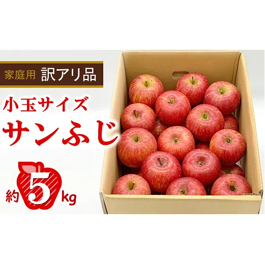 〈訳あり品 家庭用〉 りんご 「完熟サンふじ」 食べきりサイズ 約5kg (30玉程度 小玉サイズ) バラ詰め 令和6年12月中旬～1月下旬 旬の果実 佐藤市右衛門農園 山形県 南陽市 [1408]