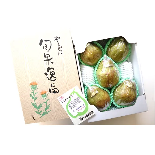 【令和6年産先行予約】 特大玉 シルバーベル 約4kg (5玉) 《令和6年12月中旬～発送》 『長谷部農園』 洋梨 果物 フルーツ 産地直送 生産農家直送 山形県 南陽市 [1163]