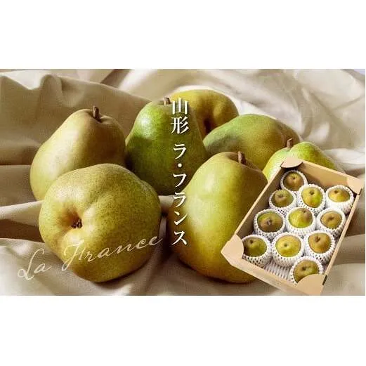 【令和7年産先行予約】 ラ・フランス 約3kg (8～12玉 秀 L～2L) 《令和7年11月下旬～発送》 『Yamagataうまいな中村屋』 梨 果物 フルーツ 山形県 南陽市 [1743]