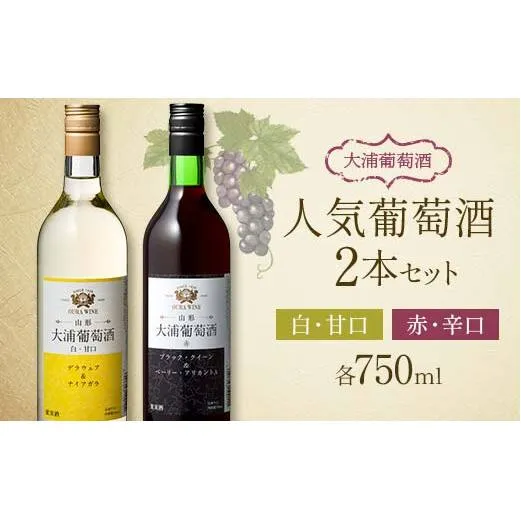 大浦葡萄酒 人気葡萄酒 750ml×2本セット 『(有)大浦葡萄酒』 赤ワイン 白ワイン 甘口 辛口 酒 山形県 南陽市 [1893]