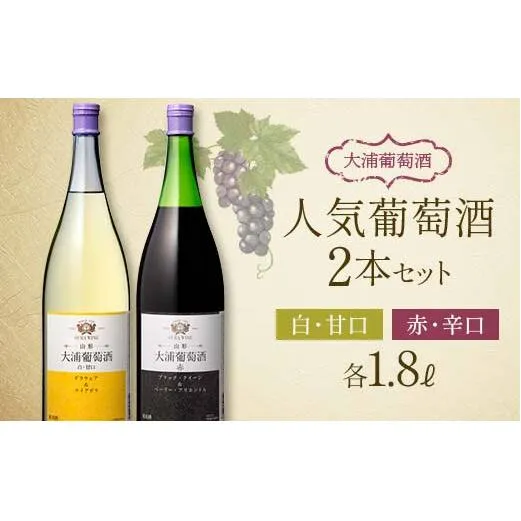 大浦葡萄酒 人気葡萄酒 1.8L×2本セット 『(有)大浦葡萄酒』 赤ワイン 白ワイン 甘口 辛口 酒 山形県 南陽市 [1895]