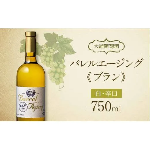 【日本ワインコンクール2023受賞ワイン】 大浦葡萄酒 バレル エージング(ブラン) 750ml×1本 『(有)大浦葡萄酒』 白ワイン 辛口 山形県 南陽市 [1897]