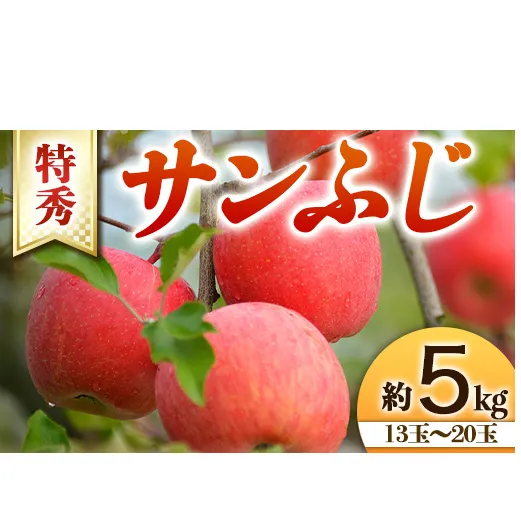 【令和8年産先行予約】 りんご 「サンふじ」 約5kg (13～20玉 特秀 L～5L) 《令和8年11月下旬～発送》 『生産者 山岸 誠』 山形県 南陽市 [966]
