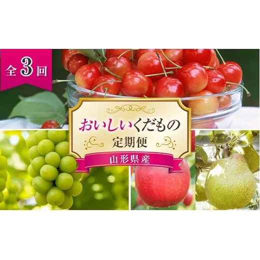 【令和6年産先行予約】 《定期便3回》 おいしいくだもの定期便 『最上屋』 旬 果物 フルーツ 定期便 食べ比べ さくらんぼ ぶどう 西洋梨 洋なし りんご 佐藤錦 シャインマスカット ラ・フランス ふじ 予約 2024年 山形県 南陽市 [995-R6]