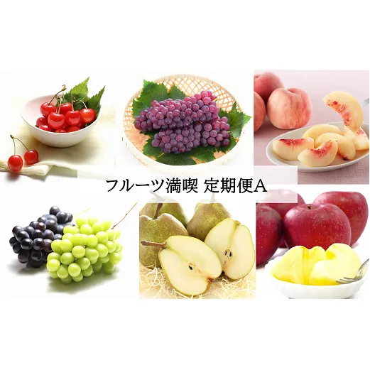 【令和7年産先行予約】 《定期便6回》 フルーツ満喫定期便A 『フードシステムズ』 山形県 南陽市 [1138-R7]