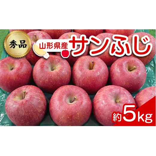 【令和8年産先行予約】 りんご 「サンふじ」 約5kg (12～23玉 秀品) 《令和8年12月上旬～令和9年2月下旬発送》 『カネタ高橋青果』 リンゴ 山形県 南陽市 [1960]