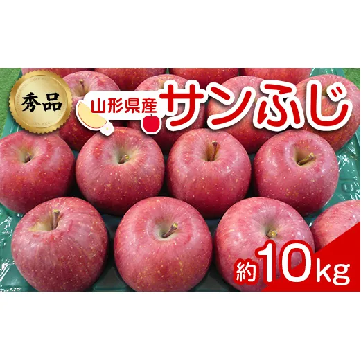 【令和8年産先行予約】 りんご 「サンふじ」 約10kg (24～46玉 秀品) 《令和8年12月上旬～令和9年2月下旬発送》 『カネタ高橋青果』 リンゴ 山形県 南陽市 [1961]