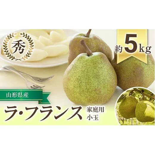 【令和8年産先行予約】 〈家庭用〉 小玉 ラ・フランス 約5kg (20～28玉 秀) 《令和8年10月下旬～11月下旬発送》 『フードシステムズ』 山形県 南陽市 [1391-R8]