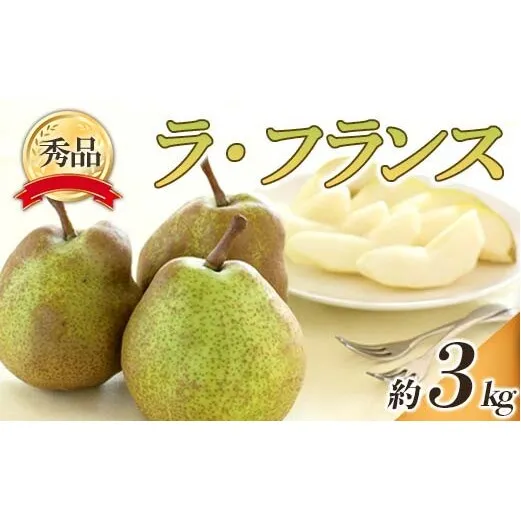 【令和8年産先行予約】 ラ・フランス 約3kg (6～14玉 秀) 《令和8年10月下旬～11月下旬発送》 『フードシステムズ』 ラフランス 西洋梨 洋なし 果物 山形県 南陽市 [848-R8]