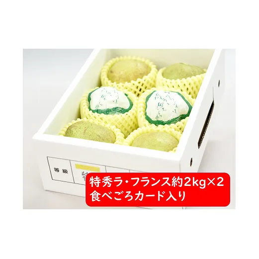 【令和7年産先行予約】 ラ・フランス 計約4kg (12～14玉 特秀 2～4L) 《令和7年11月～発送》 『たけひさ農園』 ラフランス 西洋梨 洋なし 果物 山形県 南陽市 [1086-1]