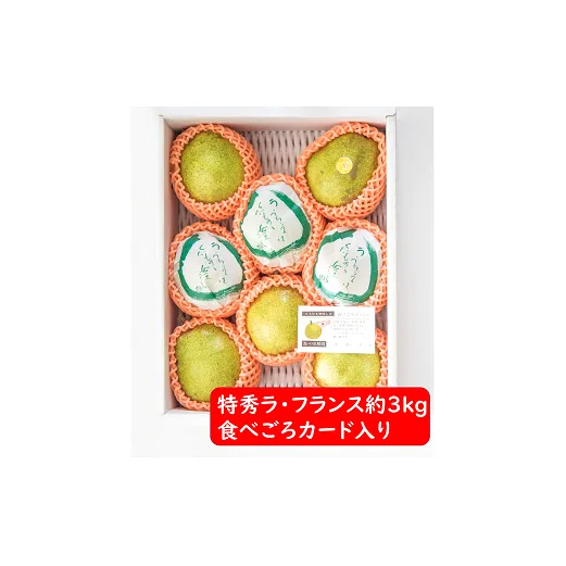 【令和7年産先行予約】 ラ・フランス 約3kg (8～11玉 特秀 2～5L) 《令和7年11月～発送》 『たけひさ農園』 ラフランス 西洋梨 洋なし 果物 山形県 南陽市 [1087-1]