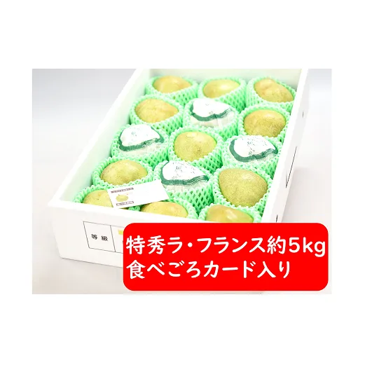 【令和7年産先行予約】 ラ・フランス 約5kg (15～18玉 特秀 2～4L) 《令和7年11月～発送》 『たけひさ農園』 ラフランス 西洋梨 洋なし 果物 山形県 南陽市 [1088-1]