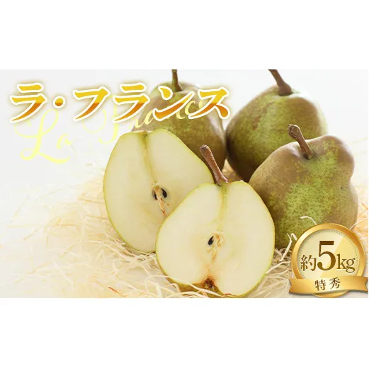 【令和8年産先行予約】 ラ・フランス 約5kg (14～16玉 特秀 3～4L) 《令和8年11月中旬～発送》 『NOWAフルーツ』 ラフランス 西洋梨 洋なし 果物 フルーツ [2065-R8]