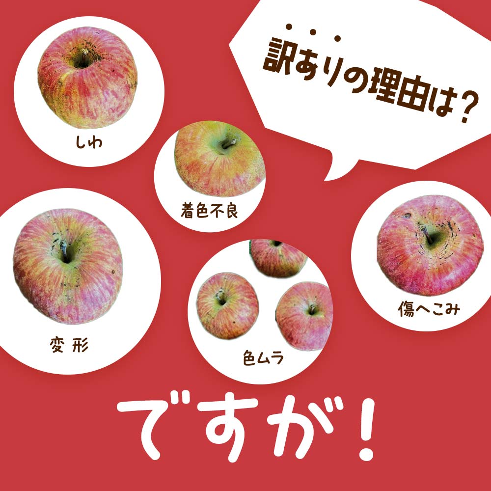 セザンヌのりんごさん　新品未使用品　 フラワープリントブラック　チュニック セザンヌのりんごさん 新品未使用品 フラワープリントブラック