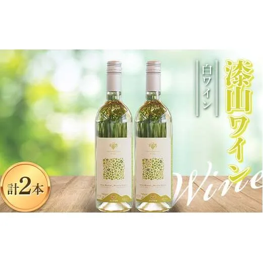 果樹園生まれの 「漆山ワイン (シャイン＆ロザリオ)」 750ml×2本セット 『漆山果樹園』 山形県 南陽市 [2078]