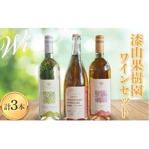果樹園生まれの 漆山果樹園ワイン 「漆山ワイン (デラウェア) + 漆山ワイン (シャイン＆ロザリオ) + 漆山スパークリングワイン (デラウェア)」 3種 各750ml 計3本セット 『漆山果樹園』 山形県 南陽市 [2079]