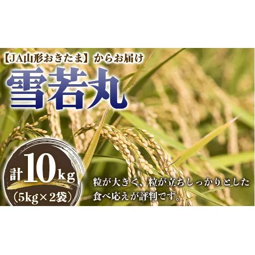 JA 雪若丸 10kg (5kg×2袋) 『JA山形おきたま』 山形県産 米 精米 山形県 南陽市 [843]
