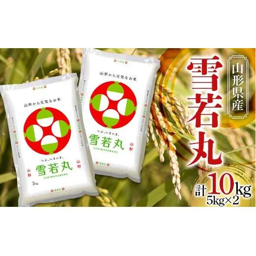 【令和7年産】 JA 雪若丸 10kg (5kg×2袋) 『JA山形おきたま』 山形県産 米 精米 山形県 南陽市 [843]