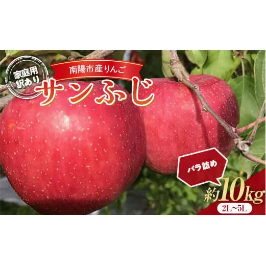 【令和8年産先行予約】 〈訳あり品 家庭用〉 りんご 「サンふじ」 約10kg (24～36玉) バラ詰め 《令和8年11月中旬～発送》 『マルタニ農園』 リンゴ 山形県 南陽市 [1916]