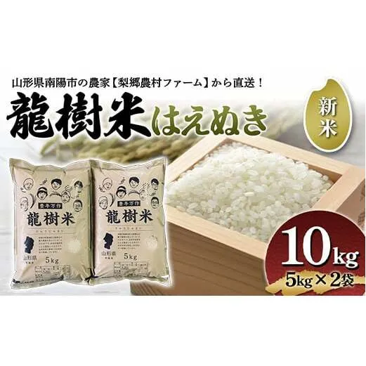【令和6年産 新米 先行予約】 龍樹米 はえぬき 10kg (5kg×2袋) 《令和6年10月上旬～発送》 『梨郷農村ファーム』 山形南陽産 米 精米 ご飯 農家直送 山形県 南陽市 [835-R6]