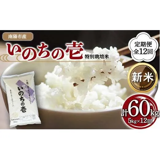 【令和8年産 新米 先行予約】 【金賞受賞農家】 《定期便12回》 特別栽培米 いのちの壱 5kg×12か月 《令和8年10月中旬～発送》 『あおきライスファーム』 山形南陽産 米 白米 精米 ご飯 農家直送 山形県 南陽市 [1618-R8]