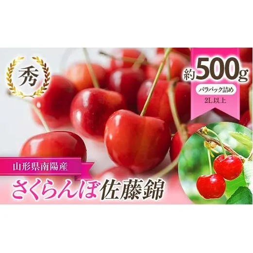 【令和9年産先行予約】 さくらんぼ 「佐藤錦」 約500g (秀 2L以上) バラパック詰め 《令和9年6月上旬～発送》 『生産者 佐藤 勇二』 サクランボ 果物 フルーツ 産地直送 [2234]