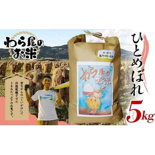 【わら屋のお米】 令和7年産 特別栽培米 ひとめぼれ 5kg 『おがわ藁農園』 米 白米 精米 ご飯 農家直送 山形県 南陽市 [2070]