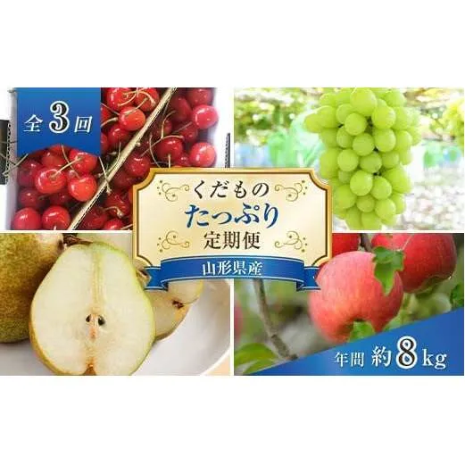 【令和9年産先行予約】 《定期便3回》 くだもの”たっぷり”定期便 『南陽中央青果市場』 山形県 南陽市 [1970-R9]