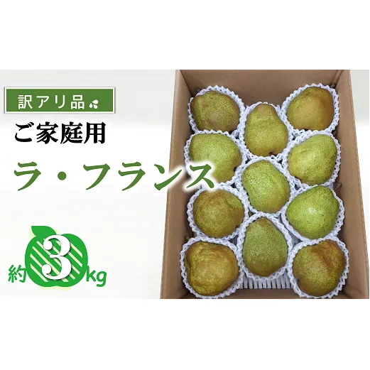 【令和6年産先行予約】 〈訳あり品 家庭用〉 ラ・フランス 約3kg (9～13玉) 《令和6年11月中旬～発送》 『カネタ高橋青果』 ラフランス 果物 フルーツ 山形県 南陽市 [2274]