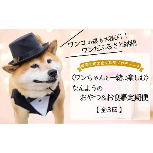 《定期便3回》 南陽市商工会女性部プロデュース 〈ワンちゃんと一緒に楽しむ〉 【なんようのおやつ＆お食事定期便】 山形県 南陽市 [2265]