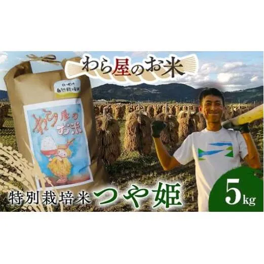 【わら屋のお米】 令和7年産 特別栽培米 つや姫 5kg 『おがわ藁農園』 米 白米 精米 ご飯 農家直送 山形県 南陽市 [2167]