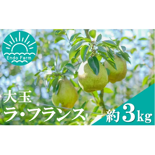【令和7年産先行予約】 【ネオニコフリー】 大玉 ラ・フランス 約3kg (8～9玉 特秀 4～5L) 《令和7年11月上旬～発送》 『遠藤果樹農園』 厳選 こだわり ラフランス 西洋梨 洋なし 果物 フルーツ デザート 山形県 南陽市 [1060-R7]