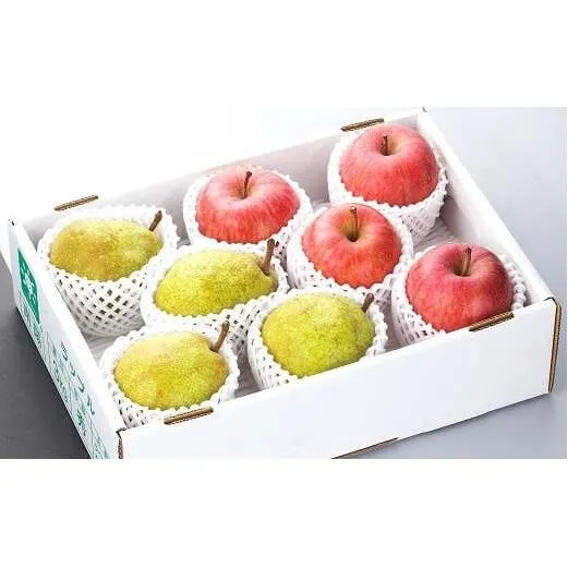 【令和7年産先行予約】 JA ラ・フランス と リンゴ の詰合せ 計約4kg 《令和7年11月中旬～12月上旬発送》 『JA山形おきたま』 ふじ りんご ラフランス 山形県 南陽市 [716-R7]