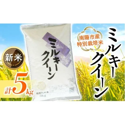 【令和7年産 新米 先行予約】 【金賞受賞農家】 特別栽培米 ミルキークイーン 5kg 《令和7年10月上旬～発送》 『あおきライスファーム』 山形南陽産 米 山形県 南陽市 [1549-R7b]