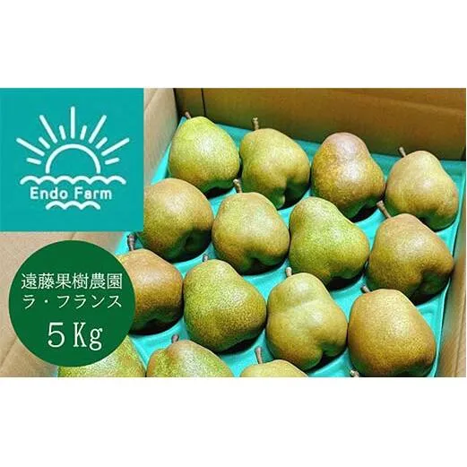 【令和7年産先行予約】 【ネオニコフリー】 〈家庭用〉 ラ・フランス 約5kg (18～20玉 秀 L～2L) 《令和7年11月上旬～発送》 『遠藤果樹農園』 厳選 こだわり ラフランス 西洋梨 洋なし 果物 フルーツ デザート 山形県 南陽市 [1989]